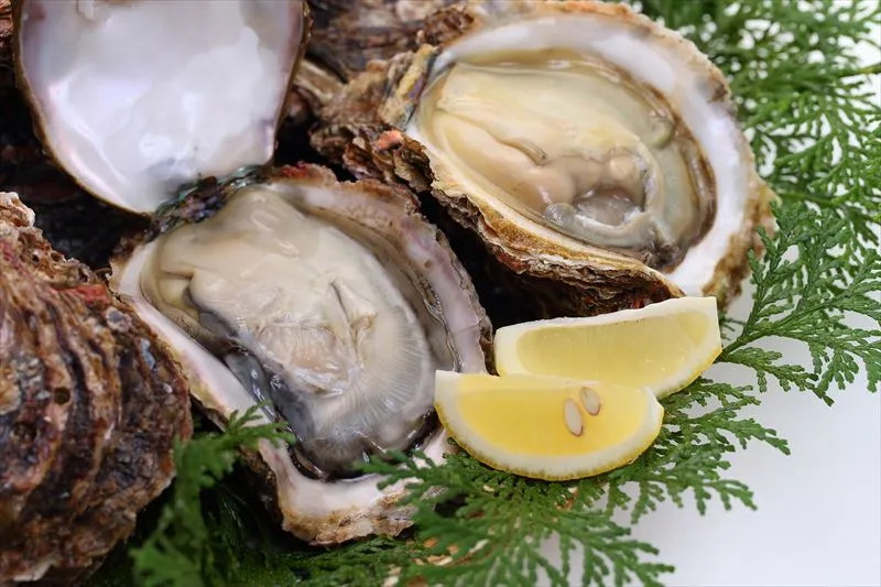 タウリンの多い食材は？