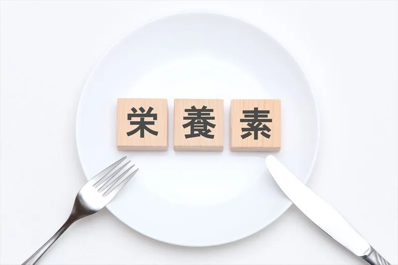 牡蠣に含まれる栄養素は？