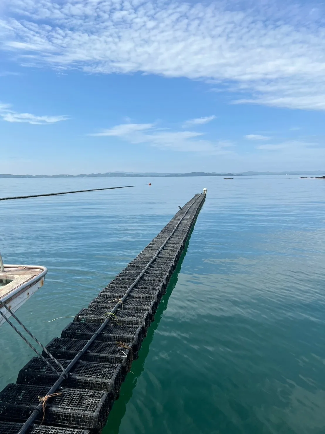 今日は暖かい～